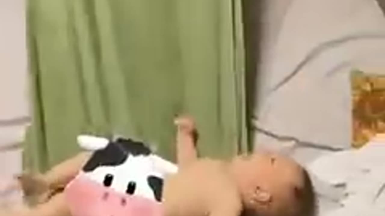 Funny Video in America