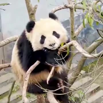 How I spend my weekends