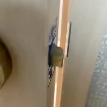 A wonderful view of a small puppy holding an iPhone and then a tablet