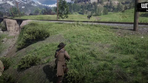 Killer On The Loose - Red Dead Redemption 2 (PC)