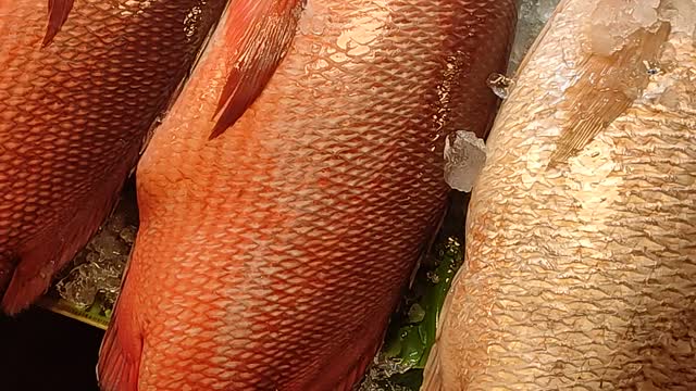 Big Fish Market