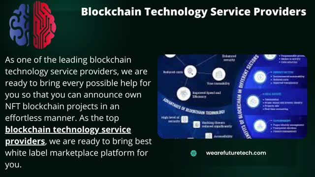 Blockchain Technology Service Providers