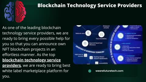 Blockchain Technology Service Providers