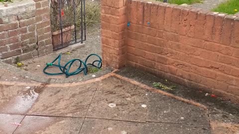 Water bomb game