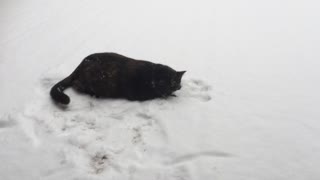My little Winter Weirdo