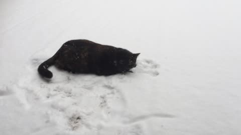 My little Winter Weirdo