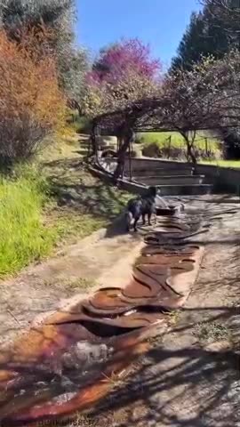 Water is life, Water is living