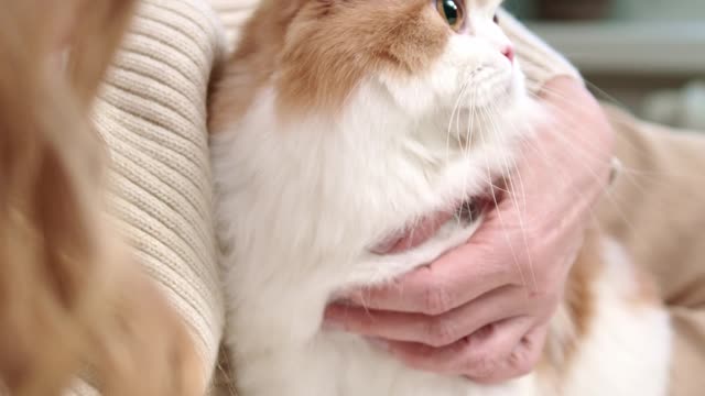 A Woman With Her Cat On The Bed