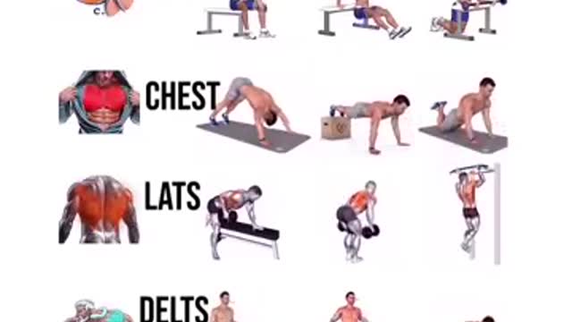 Use this exercises to Transform Your body fitness.