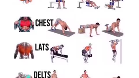 Use this exercises to Transform Your body fitness.