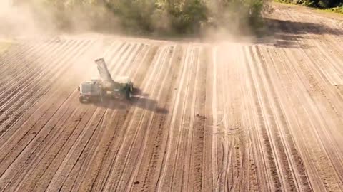 🥜 awesome peanut harvesting & unloading Hyperlapse @ 250 FEET ABOVE