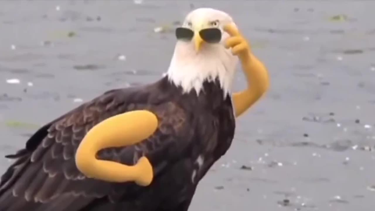 🤔Someone sat there making this! 🤣🦅