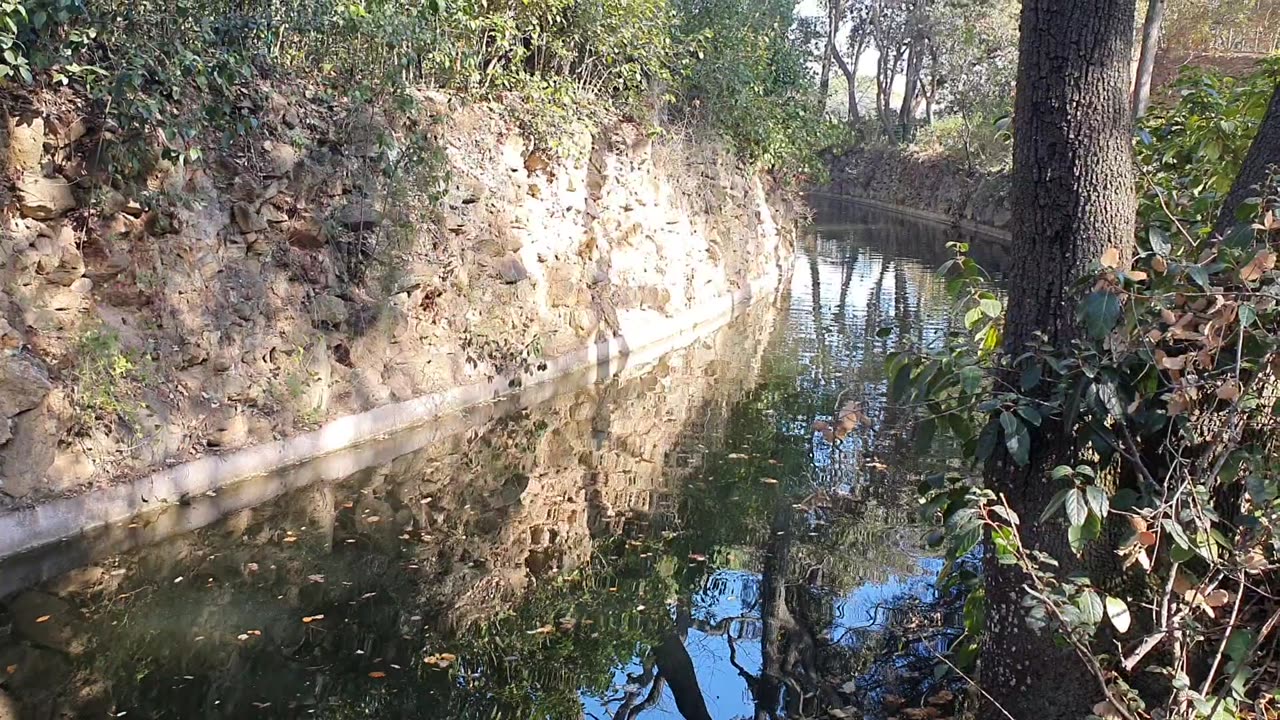 The grotto of love