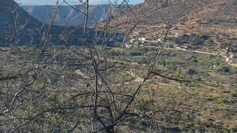 Nature of souss massa in morocco