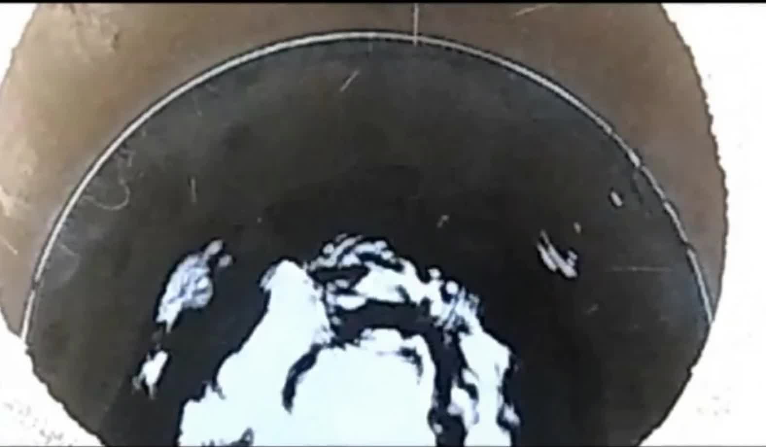 Haaskalinnut - Indy Angel