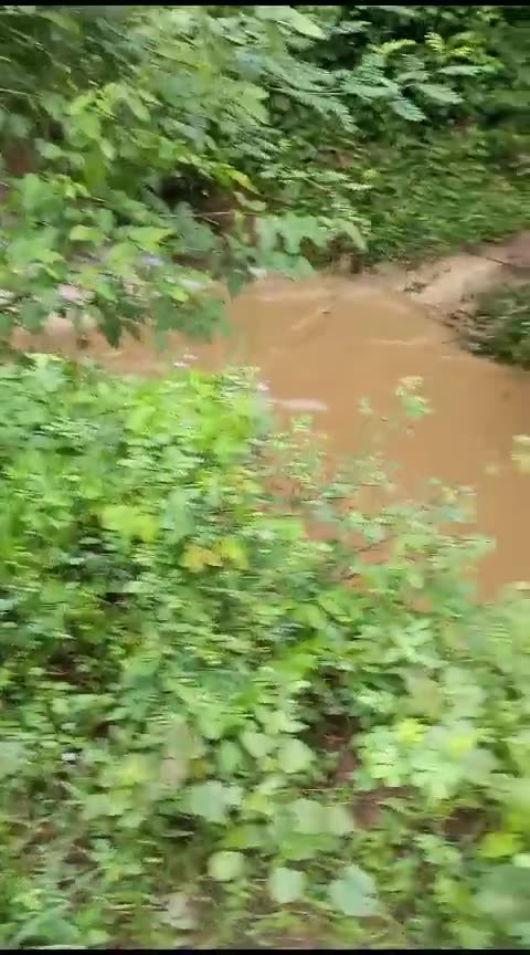 carro cayó a arroyo