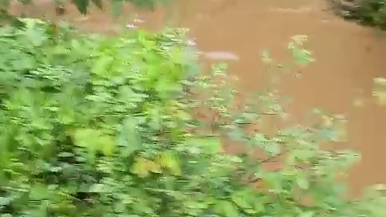 carro cayó a arroyo