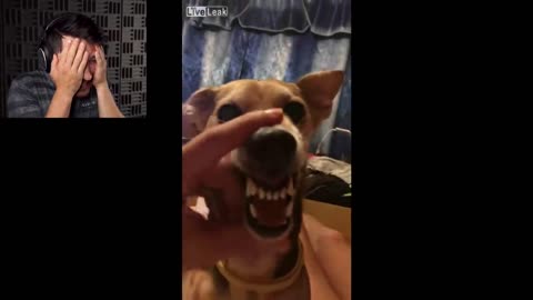 Try Not To Laugh Challenge