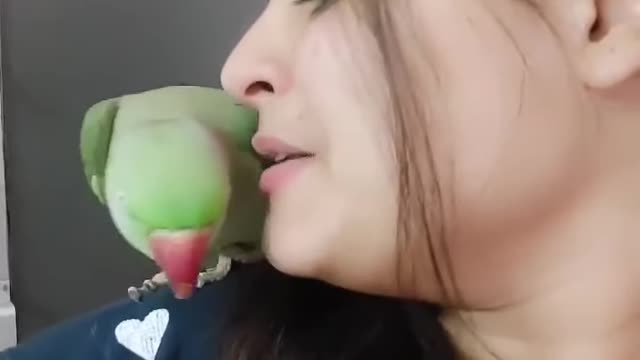 parrot and girls kissing to each other