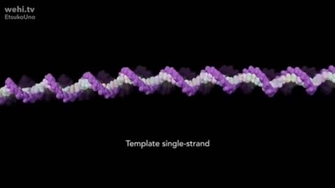 DNA and The True name of God