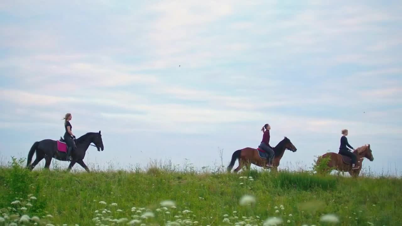 Group of people on horses galloping on the field