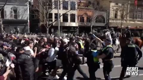 Melbourne lockdown mosh pit