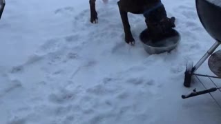 Axel and his frozen bowl