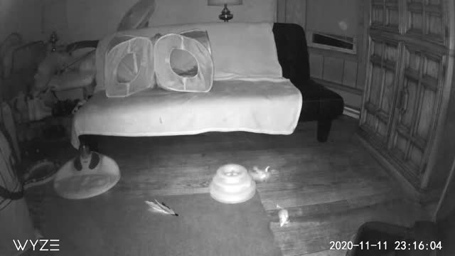 Security Cam Captures Orb