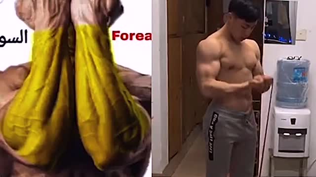 3 mejores ejercicios Para Brazos Mas grandes