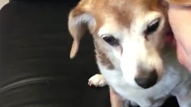 Vina - Playing at the shelter