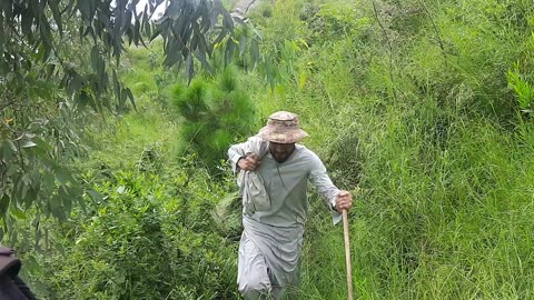 Track to tanglai mountain