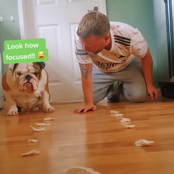 DOG VERSUS HUMAN - WHO WINS