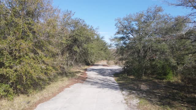 Clinch Estate, Green Cove Springs, Florida, Boundary, Topographical, and Tree Location Survey 1