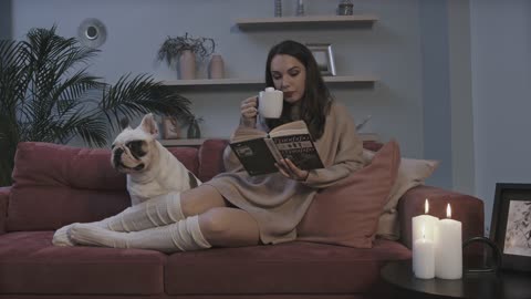 Bulldog and cup of coffee