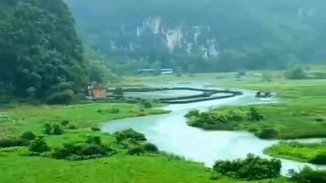 Beautiful nature🌿🍃🌿🍃 with precious background trees , mountain🗻 and rivers..