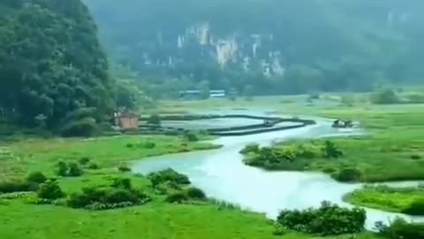 Beautiful nature🌿🍃🌿🍃 with precious background trees , mountain🗻 and rivers..