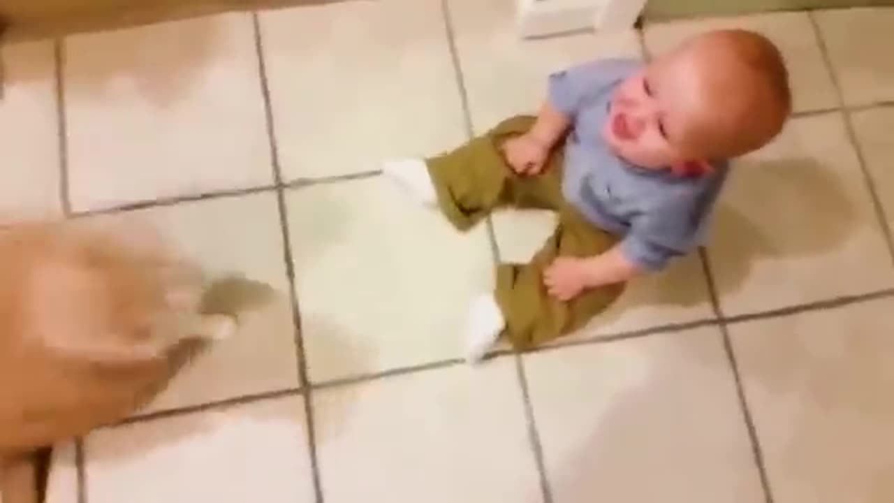 funny kids and animals