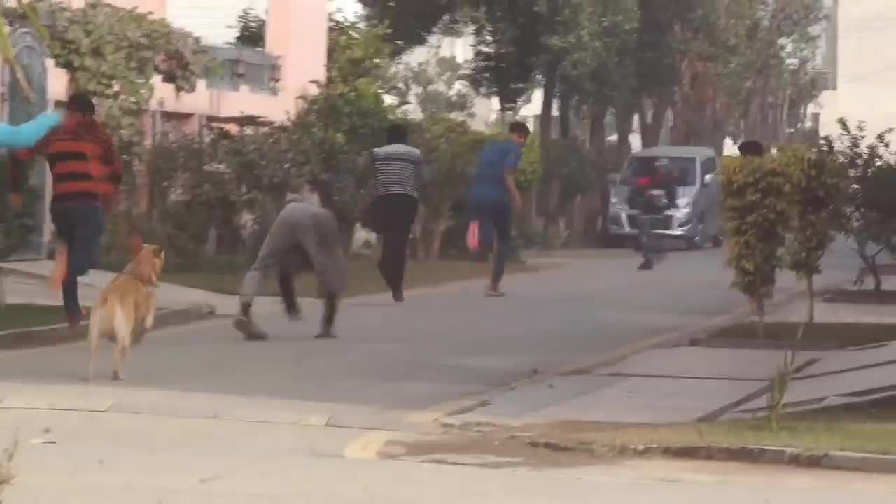 Real Dog Barking on men Viral Video