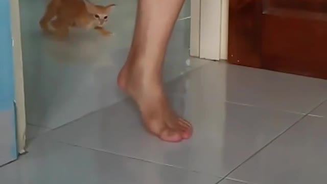 Don't see this video otherwise you will be addicted of this video