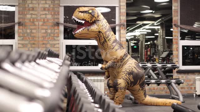 Big dinosaur doll inside in the gym