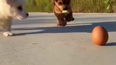 https://www.tiktok.com/@carats960/video/70062