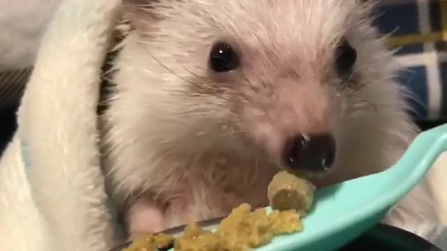 Super cute