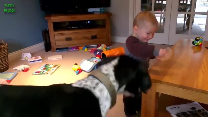 Funny baby laughing with cute dog