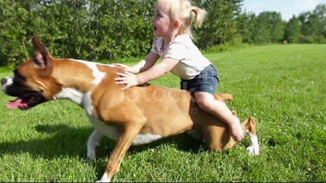 While climbing on the dog's back, I fell again and again but I enjoyed it very much | Cat2fun |