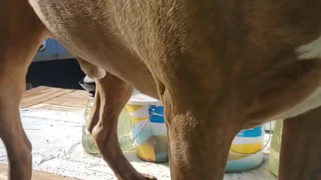 Gunner Forgets How a Table Works