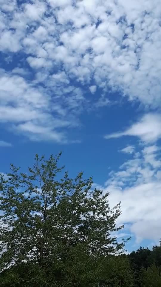 Himmel in Berlin am 8. Juli 2022 um 13:29 Uhr
