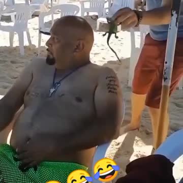 funny|prank|jokes|funny jokes|dad jokes|funny memes|funny video|fun|laughing|funny animal|knock