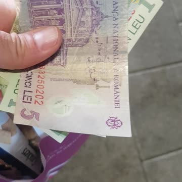 Leu Romania Money