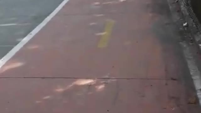 You're in shit because you want to!