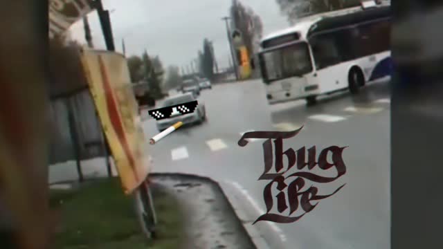 Car driver thug life